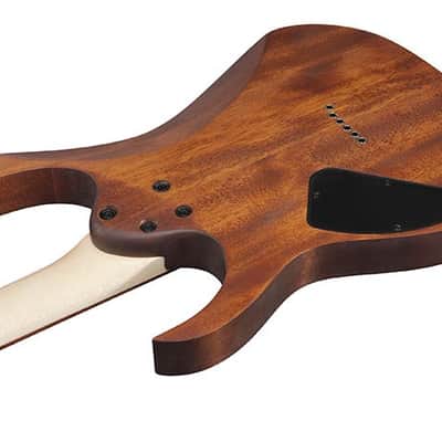 Ibanez RG421 Electric Guitar, Mahogany Oil image 5