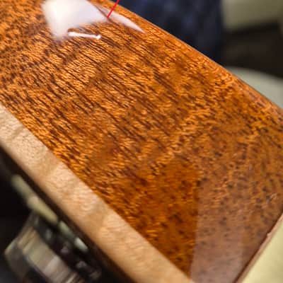 PRS CE 24 2022 - Amber image 8