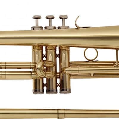 Bb flugelhorn with brass body, M-bore and soft case