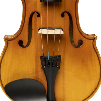 Stagg VN-4/4 ELEC EF Solid Spruce Top 4/4 Size Electric-Acoustic Violin w/Soft Case, Bow & Rosin image 5