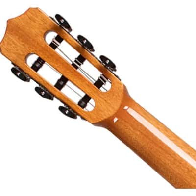 Cordoba Fusion Orchestra Cedar Nylon A/E Guitar - Teardrop Burst image 5