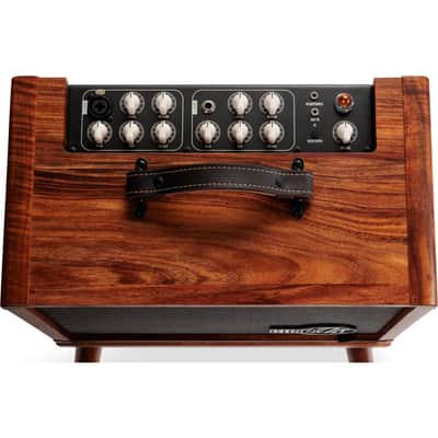 Taylor Circa 1974 Acoustic/Vocal Amp - Koa image 5