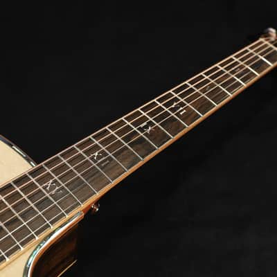 Furch Red Deluxe GC-LI Spruce Top Malaysian Blackwood with Case 791 image 3