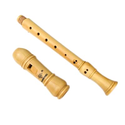 Soprano Recorder 8-Hole Treble Vertical Flute German Fingering image 3