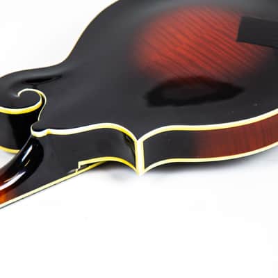 Michael Kelly F Style Mandolin Owned by Matt Freeman Of Rancid image 18