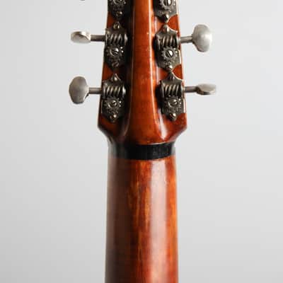 Wilkanowski Arch Top Acoustic Guitar (1937), gig bag case. image 6