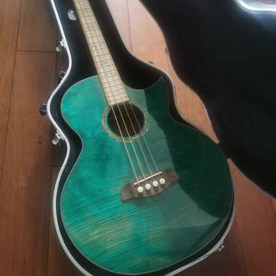 Ortega 25th Anniversary walker VIDEO
with stagg hard case image 1