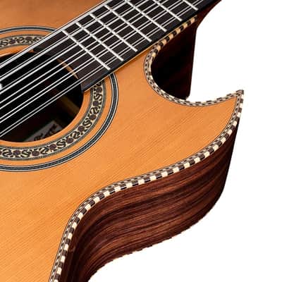 Oscar Schmidt OH52SE Solid Cedar Top Mahogany Neck 12-String Acoustic-Electric Bajo Sexto w/Deluxe Padded Gig Bag image 5