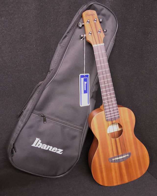 Ibanez UKC100-OPN Concert Ukulele 2022 - Present - Open Pore Natural & GIG BAG image 1