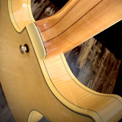 Ultra Rare 2006 Ibanez Awd-102-nt Artcore Custom Natural semi hollow body image 11