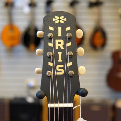 Iris Guitars RCM-000 Sitka Spruce/Mahogany Acoustic Guitar Sunburst w/Hard Case image 7