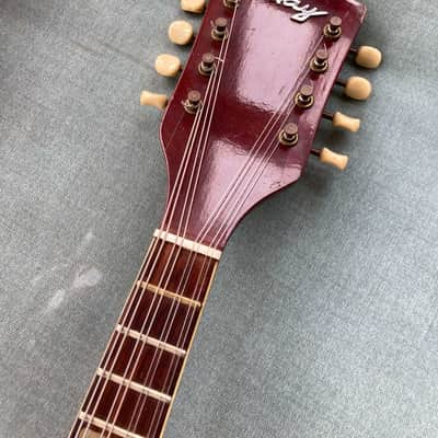 1950s Kay 2-point Electric Mandolin, Thin Twin pickup, plays perfect! Video. image 5