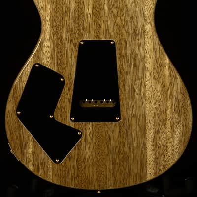 PRS Guitars Wildwood Wood Library Modern Eagle V - Brazilian Rosewood, 10-Top image 2