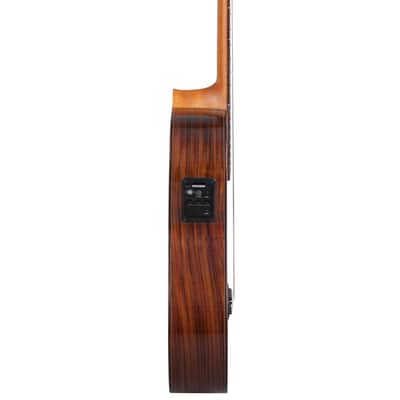 Kremona F65CW | Fiesta Classical Cutaway w/ Fishman.  New with Full Warranty! image 4