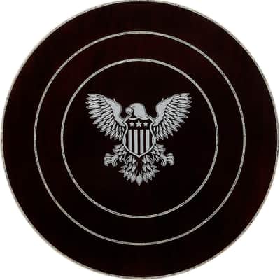 Ibanez BA250 United States 250th Anniversary Limited Edition Resonator Banjo, Purpleheart Fingerboard, America 250 image 2