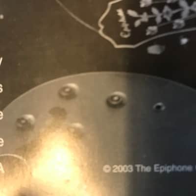 Epiphone Guitar Manual in Black & White 2003 image 3
