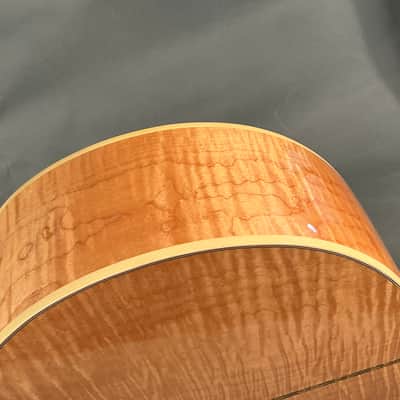 Gibson J 200 Twelve String 1995 - Natural image 18