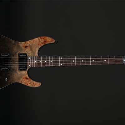 Schecter C-1 Standard in Back Fade Burst Burl image 3