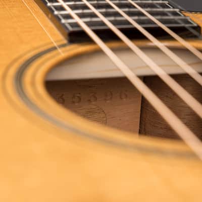 Collings OM1 Cutaway - Baked Sitka Spruce & Honduran Mahogany image 21