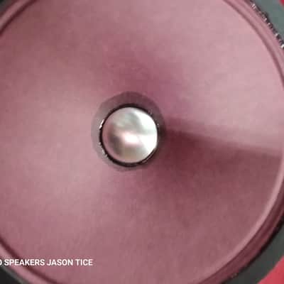 12" ALNICO SPEAKER UTAH BASED HEMPOPOTAMUS HYBRID FAT THICK MEATY 3D TONALITY PMR SPEAKER image 12