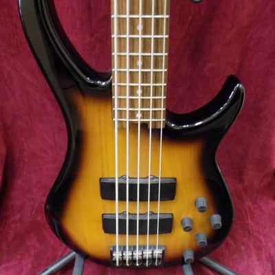 Peavey GV G5 USA 5 String Graphite Modulus Neck image 1