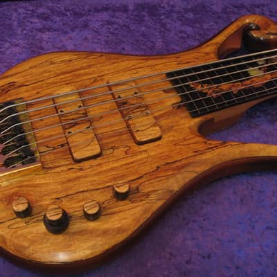 Drake Custom 6 string Fretless  2017 - gloss poly image 4