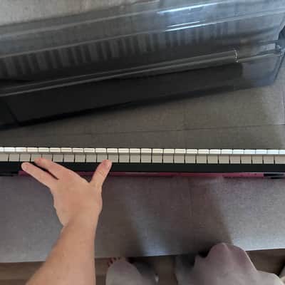 Akai MPK261 (2018) + Decksaver lid image 5