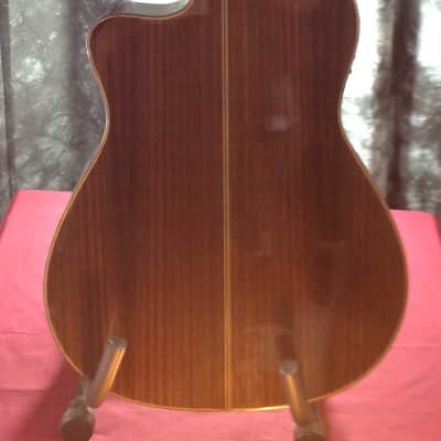 Cordoba Fusion 14 Rose w/ Solid Rosewood Top - Fishman Presys Preamp - Tuner & Premium Gigbag #25295 image 15