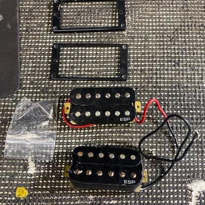 ESP G and B Pickup Set image 1
