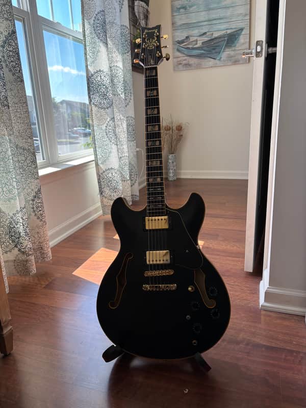 Ibanez JSM20TH John Scofield Signature Black image 1