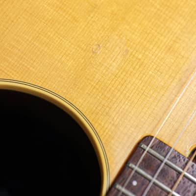 Godin Multiac Steel Duet Ambiance | Natural image 20