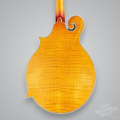 Epiphone MM-50E Professional Mandolin 2010s - Vintage Natural Bild 5