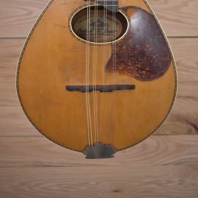 Regal Mandolin 1920s - Natural image 2
