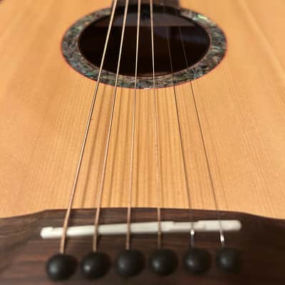 Washburn Bella Elegante S24S Solid Spruce Top Parlor Size Acoustic Guitar image 10