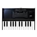 Roland K-25M High-Quality 25-Key, Velocity-Sensitive, Boutique Module Dock USB MIDI Portable Keyboard with Three-Position Stand, 12-Inch