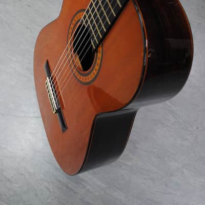 Admira Artista image 6