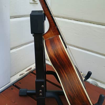 Mandola/Octave Mandolin Converted, 17" scale, Ibanez EWP13-DBO Piccolo Guitar image 6