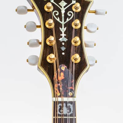 Daion F-style Mandolin - Tobacco Sunburst image 7