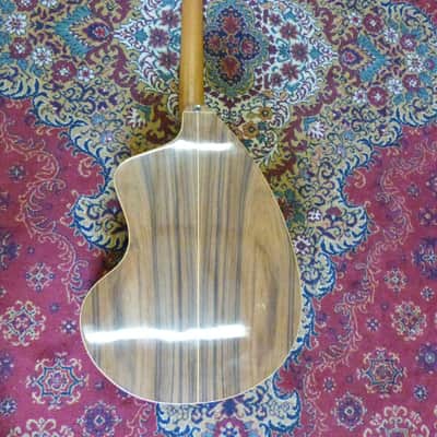 Giannini Craviola 12 String Electro Acoustic Guitar image 11