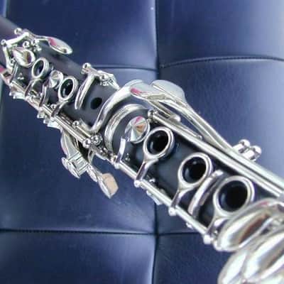 berkeleywind Excellent profession Bb Clarinet image 5