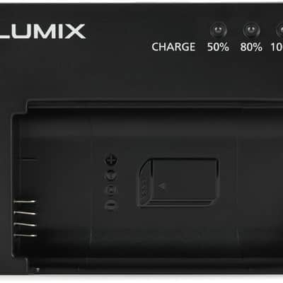 Panasonic DMW-BTC14 Battery Charger for DMW-BLJ31 image 1