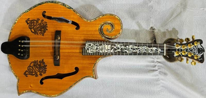 Mandolin Handmade by Blueberry, 8 String Wood Celtic Motif Mandolin,Custom Handcrafted Wooden,Steel String, Beautiful Sound, Hard Case Incl. image 1