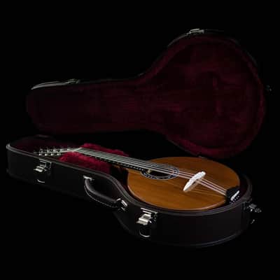 Junio Americo 10-String Mandolin | Brazil (with VS Tuners) image 3