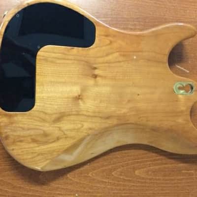 MEG Modular Electric Guitar image 8