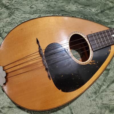 1920's Weymann Mandolute image 6
