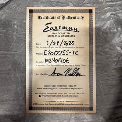 Eastman E20OOSS-TC - Sunburst - M2401406 image 12