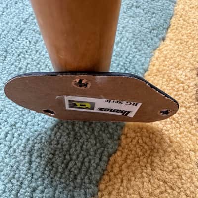 Ibanez RG-series Output Jack cavity backplate - Black image 5