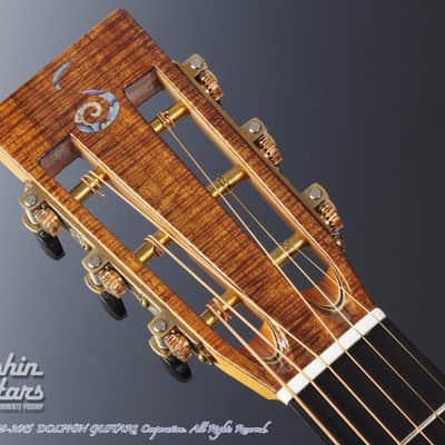JACK SPIRA GUITARS JS-Ditson (Cedar & Tasmanian Blackwood) image 7
