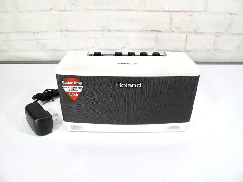 Roland Cube Lite Portable Busking & Street Performing Instrument & Voice Amplifier image 1