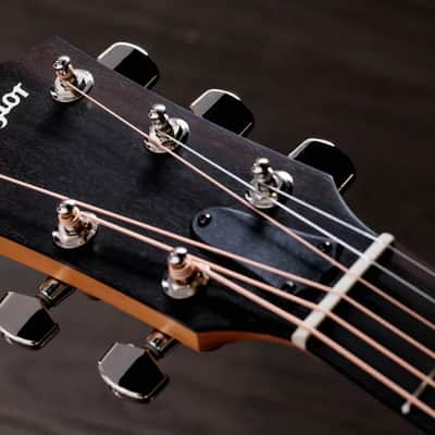 Taylor 214ce Plus Grand Auditorium Acoustic/Electric Guitar with Aerocase image 9